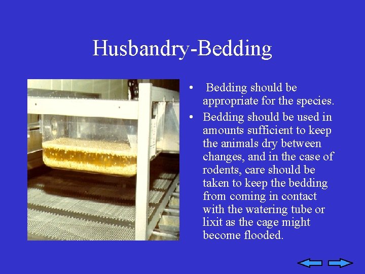 Husbandry-Bedding • Bedding should be appropriate for the species. • Bedding should be used