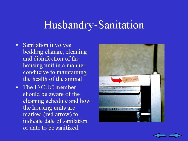 Husbandry-Sanitation • Sanitation involves bedding change, cleaning and disinfection of the housing unit in