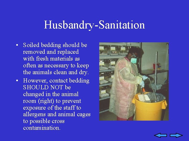 Husbandry-Sanitation • Soiled bedding should be removed and replaced with fresh materials as often