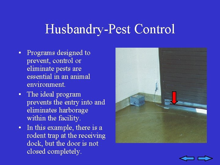Husbandry-Pest Control • Programs designed to prevent, control or eliminate pests are essential in