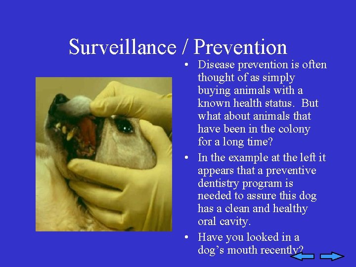 Surveillance / Prevention • Disease prevention is often thought of as simply buying animals