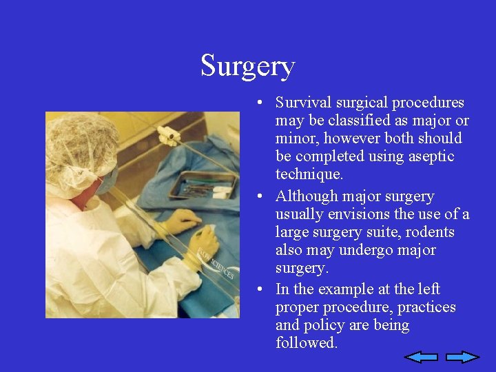 Surgery • Survival surgical procedures may be classified as major or minor, however both