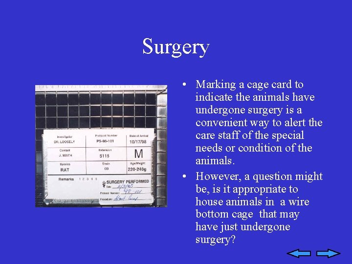 Surgery • Marking a cage card to indicate the animals have undergone surgery is