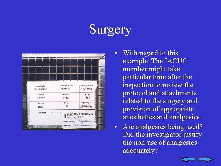 Surgery • With regard to this example. The IACUC member might take particular time