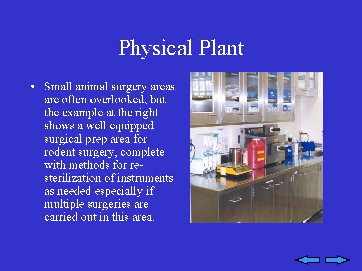 Physical Plant • Small animal surgery areas are often overlooked, but the example at