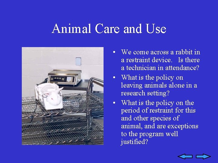 Animal Care and Use • We come across a rabbit in a restraint device.