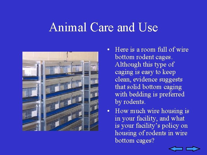 Animal Care and Use • Here is a room full of wire bottom rodent