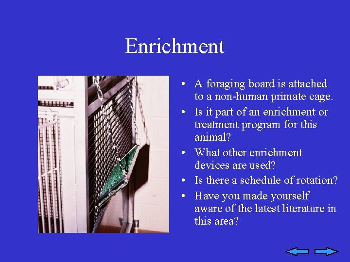 Enrichment • A foraging board is attached to a non-human primate cage. • Is