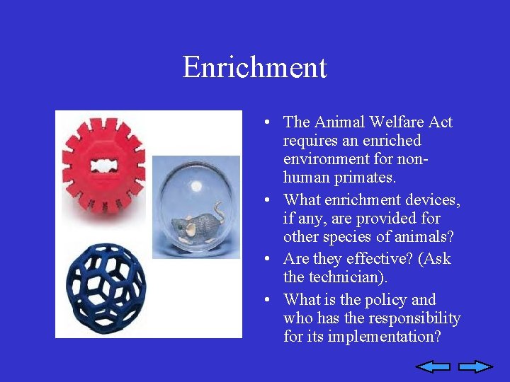 Enrichment • The Animal Welfare Act requires an enriched environment for nonhuman primates. •
