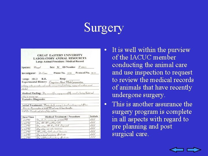 Surgery • It is well within the purview of the IACUC member conducting the