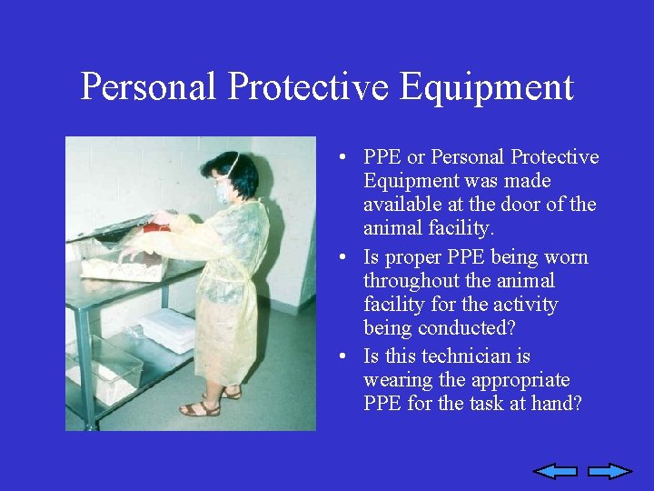 Personal Protective Equipment • PPE or Personal Protective Equipment was made available at the