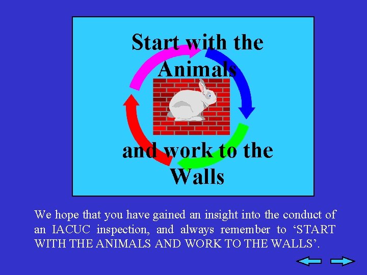 Start with the Animals and work to the Walls We hope that you have