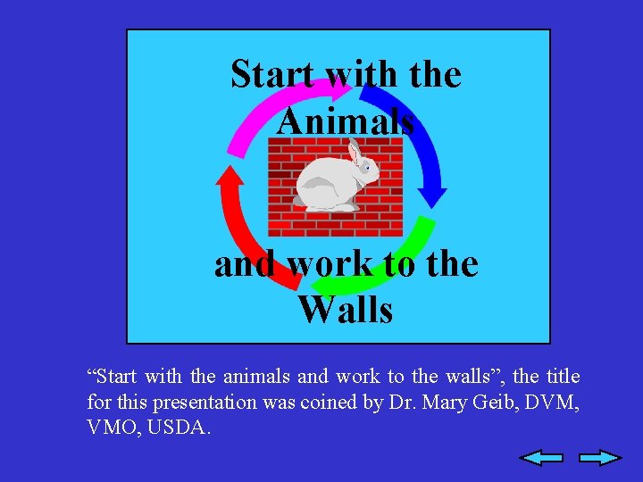 Start with the Animals and work to the Walls “Start with the animals and
