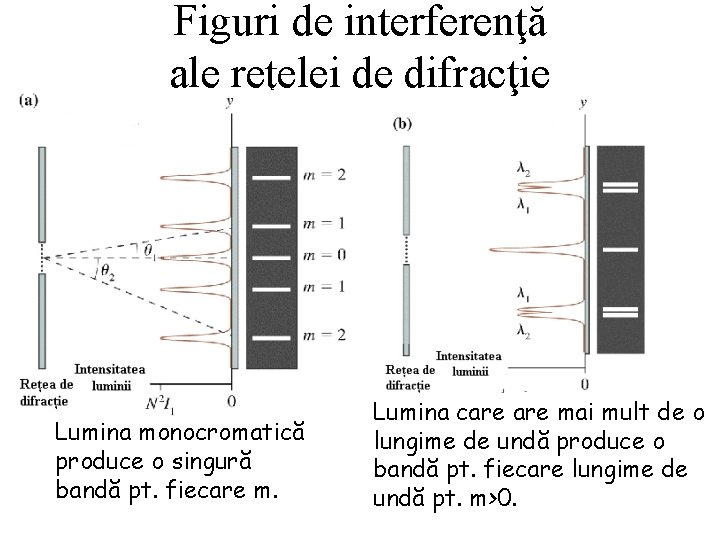 Figuri de interferenţă ale reţelei de difracţie Lumina monocromatică produce o singură bandă pt.