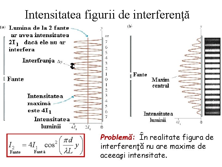 Intensitatea figurii de interferenţă Problemă: În realitate figura de interferenţă nu are maxime de