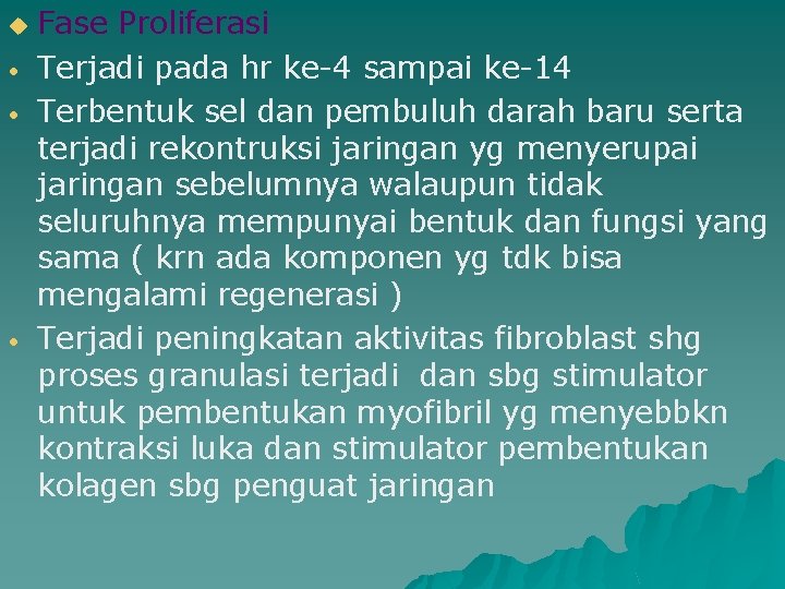 u • • • Fase Proliferasi Terjadi pada hr ke-4 sampai ke-14 Terbentuk sel