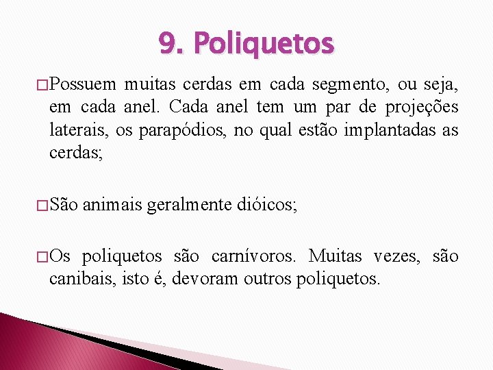 9. Poliquetos � Possuem muitas cerdas em cada segmento, ou seja, em cada anel.