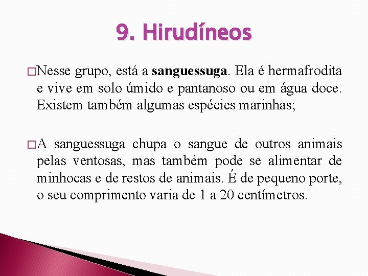 9. Hirudíneos � Nesse grupo, está a sanguessuga. Ela é hermafrodita e vive em