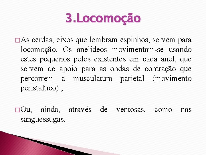 3. Locomoção � As cerdas, eixos que lembram espinhos, servem para locomoção. Os anelídeos