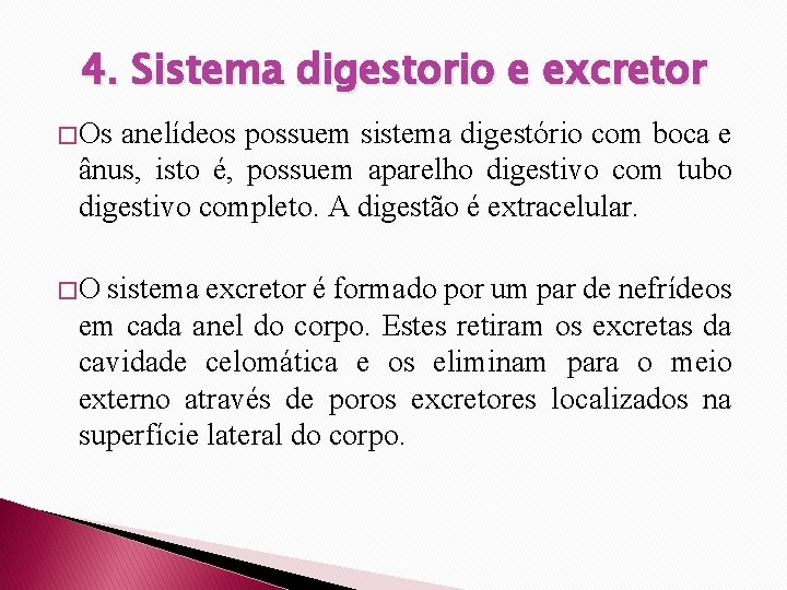 4. Sistema digestorio e excretor � Os anelídeos possuem sistema digestório com boca e