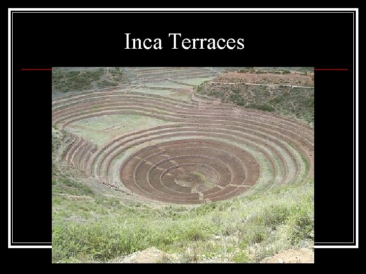Inca Terraces 