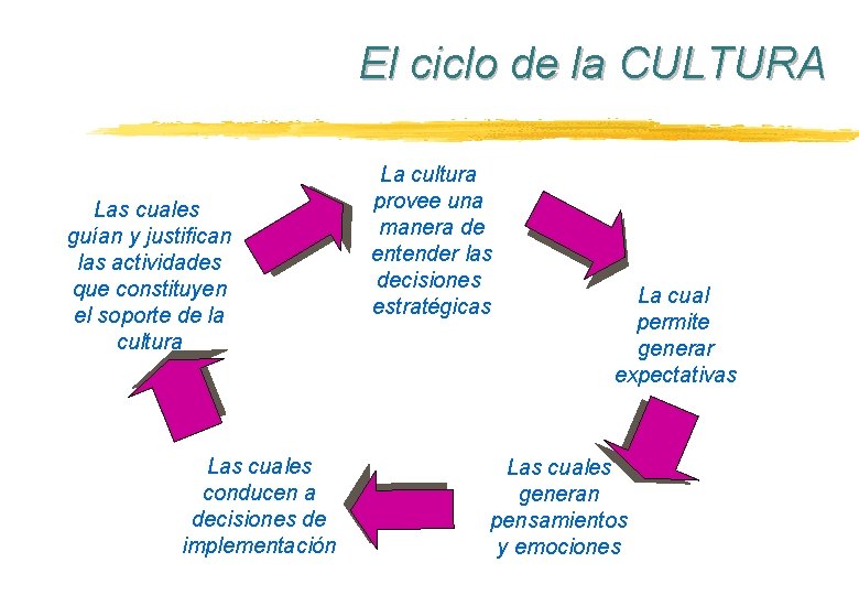 El ciclo de la CULTURA Las cuales guían y justifican las actividades que constituyen