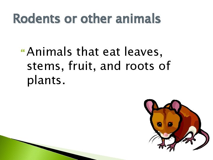 Rodents or other animals Animals that eat leaves, stems, fruit, and roots of plants.