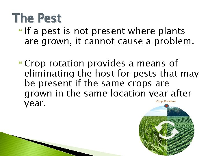 The Pest If a pest is not present where plants are grown, it cannot