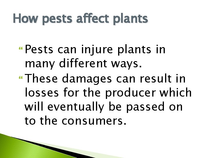 How pests affect plants Pests can injure plants in many different ways. These damages