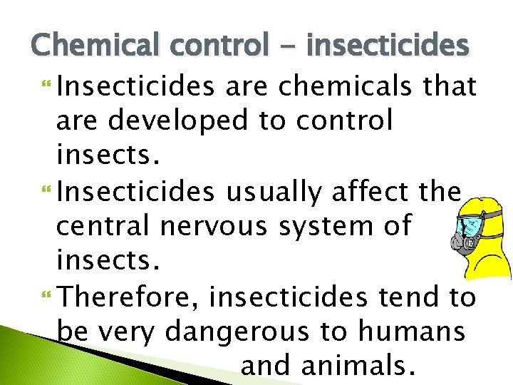 Chemical control - insecticides Insecticides are chemicals that are developed to control insects. Insecticides