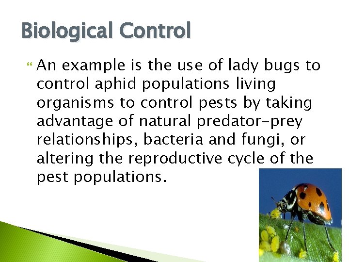 Biological Control An example is the use of lady bugs to control aphid populations