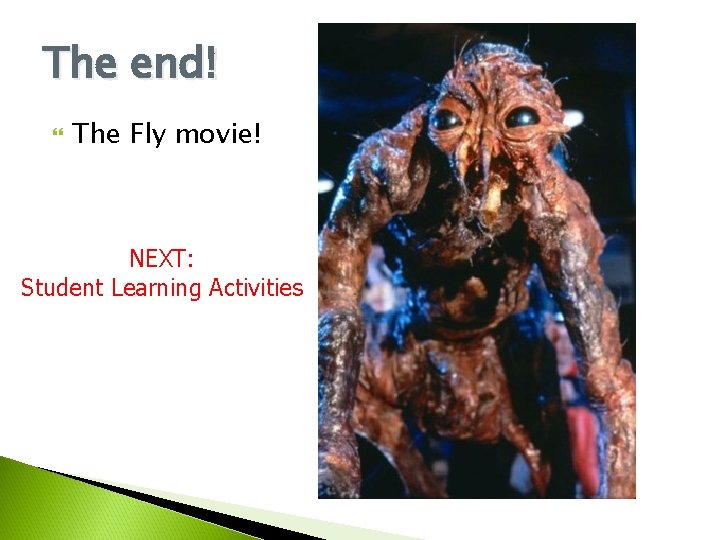 The end! The Fly movie! NEXT: Student Learning Activities 