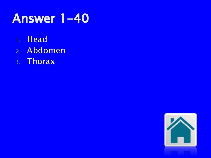 Answer 1 -40 1. 2. 3. Head Abdomen Thorax 