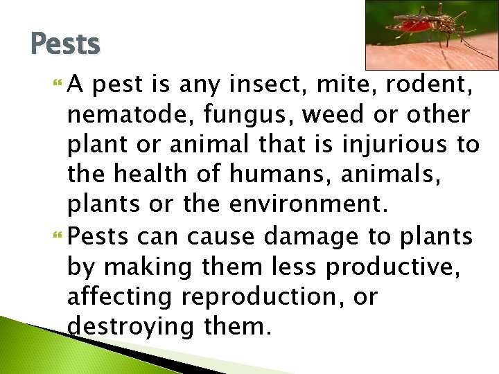 Pests A pest is any insect, mite, rodent, nematode, fungus, weed or other plant