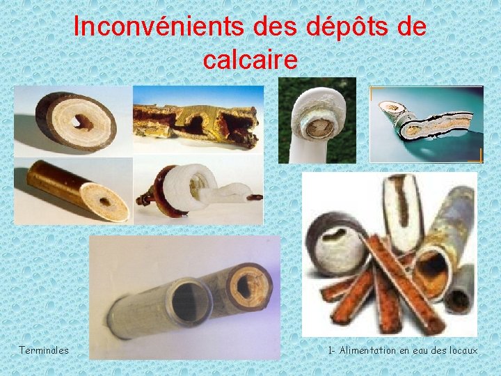 Inconvénients des dépôts de calcaire Terminales 1 - Alimentation en eau des locaux 