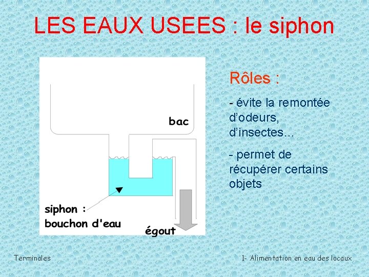 LES EAUX USEES : le siphon Rôles : - évite la remontée d’odeurs, d’insectes…