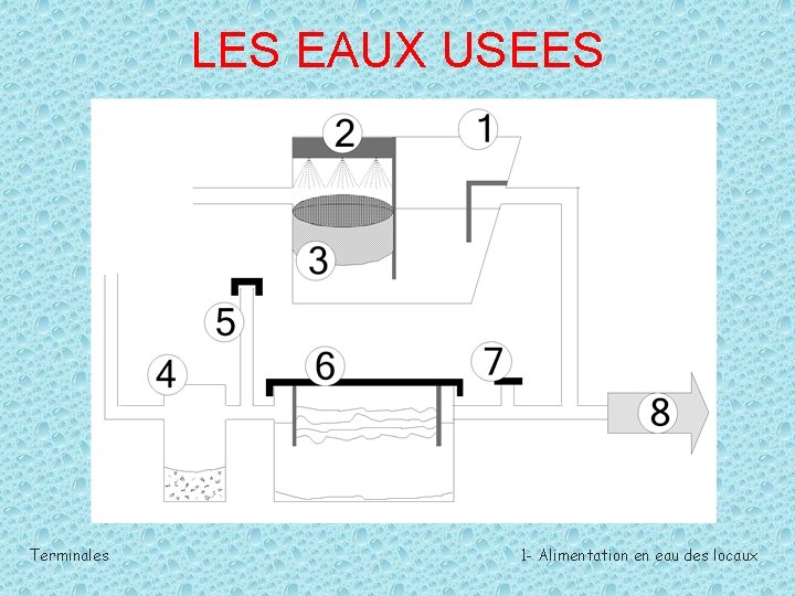 LES EAUX USEES Terminales 1 - Alimentation en eau des locaux 