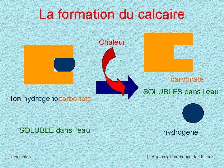 La formation du calcaire Chaleur carbonate Ion hydrogenocarbonate SOLUBLE dans l’eau Terminales SOLUBLES dans