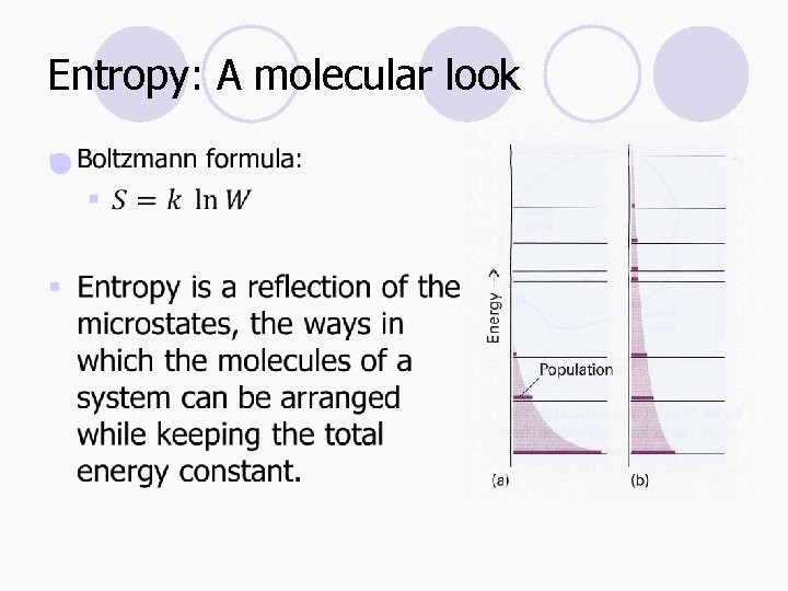 Entropy: A molecular look l 