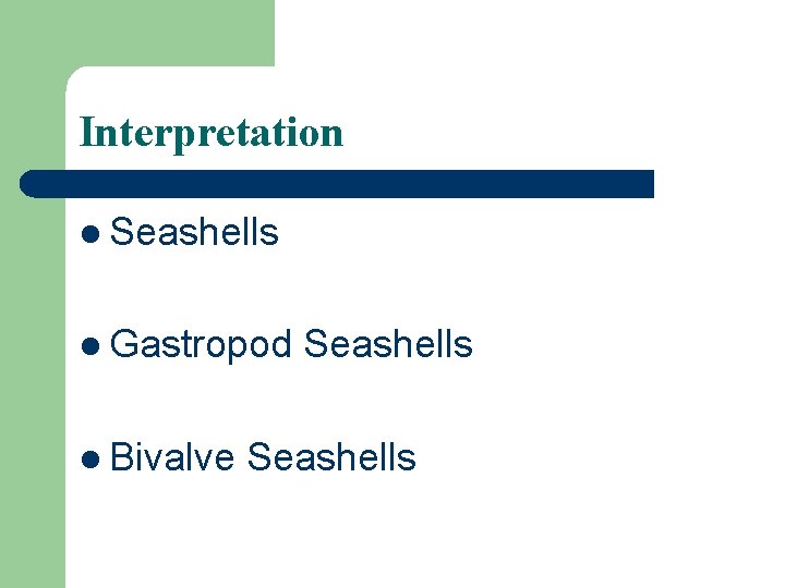 Interpretation l Seashells l Gastropod l Bivalve Seashells Interpretation l Seashells l Gastropod l Bivalve Seashells