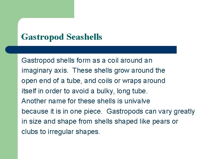 Gastropod Seashells Gastropod shells form as a coil around an imaginary axis. These shells Gastropod Seashells Gastropod shells form as a coil around an imaginary axis. These shells