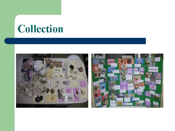 Collection Collection