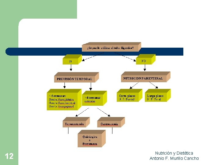 12 Nutrición y Dietética Antonio F. Murillo Cancho 