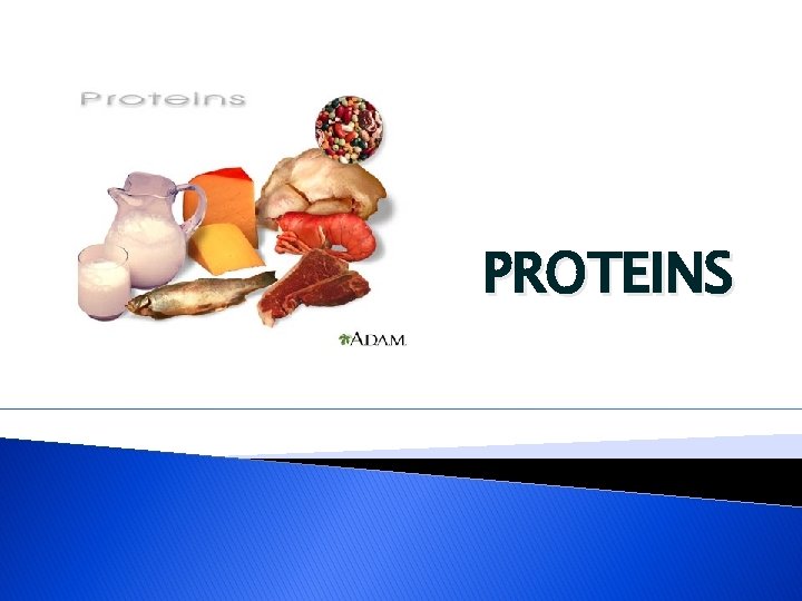 PROTEINS 