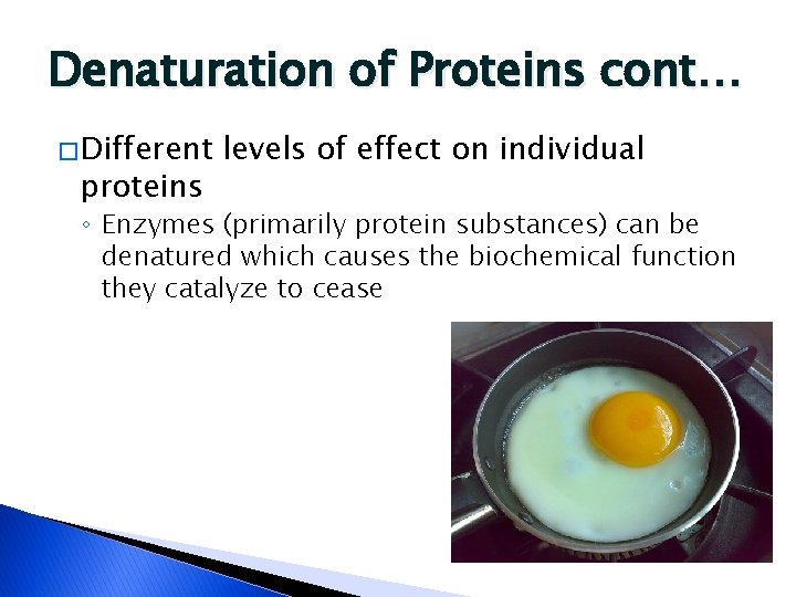 Denaturation of Proteins cont… � Different proteins levels of effect on individual ◦ Enzymes