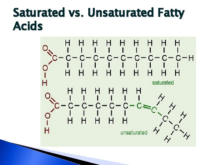 Saturated vs. Unsaturated Fatty Acids 
