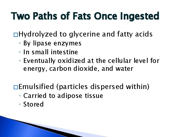 Two Paths of Fats Once Ingested � Hydrolyzed to glycerine and fatty acids ◦