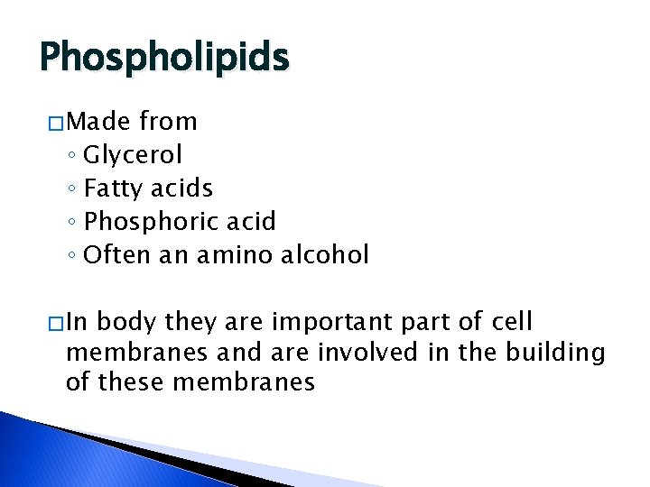 Phospholipids � Made from ◦ Glycerol ◦ Fatty acids ◦ Phosphoric acid ◦ Often