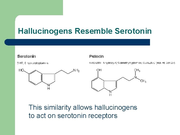 Hallucinogens Resemble Serotonin This similarity allows hallucinogens to act on serotonin receptors 