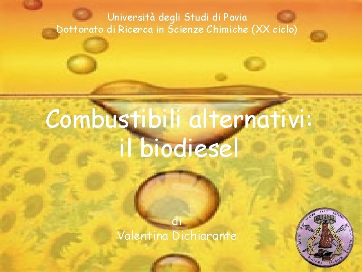 Università degli Studi di Pavia Dottorato di Ricerca in Scienze Chimiche (XX ciclo) Combustibili Università degli Studi di Pavia Dottorato di Ricerca in Scienze Chimiche (XX ciclo) Combustibili